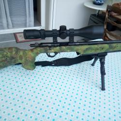 carabine ROSSI 8117 CALIBRE 17HMR
