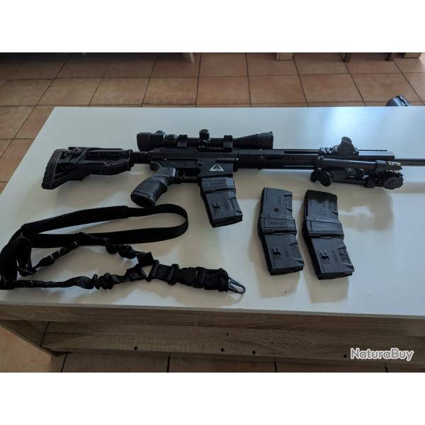 Carabine a pompe  ISSC PAR 222 , Delta calibre 222 Rem . Catgorie C .