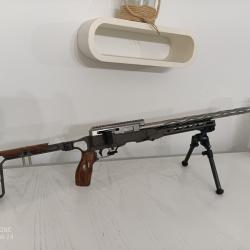 Custom 22lr