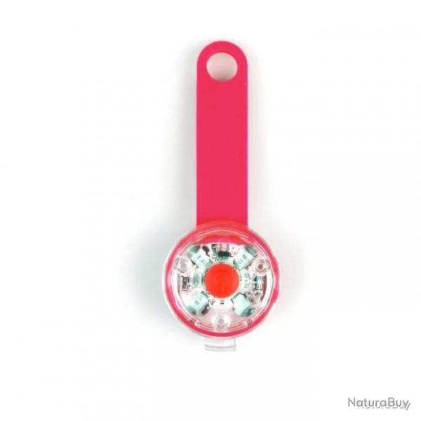 Pendentif  led pour chien - rouge - rechargeable usb - LIVRAISON GRATUITE