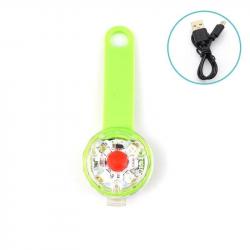 Pendentif à led pour chien - vert - rechargeable usb - LIVRAISON GRATUITE