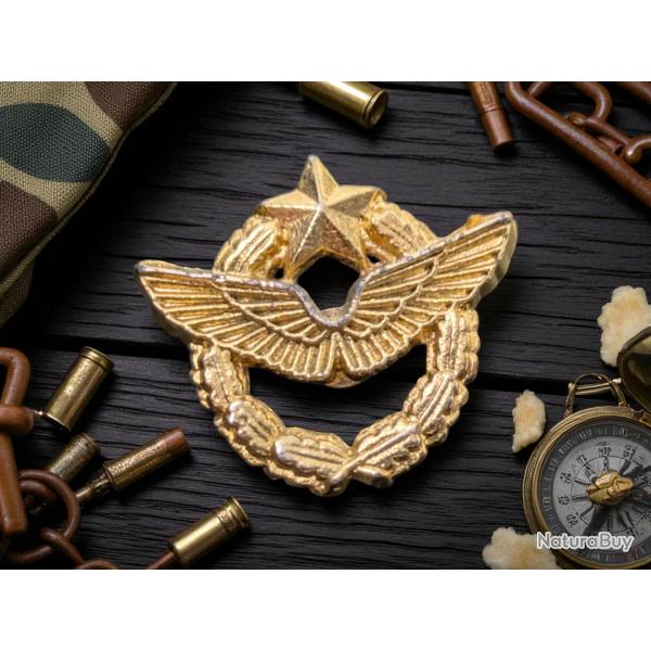 pin's militaire brevet de pilote de chasse aeronavale - insigne dore  l'or fin
