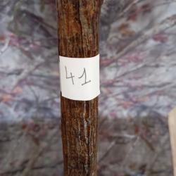 canne de pirsch (41)
