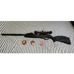 Carabine à Plomb 29 Joules Gamo Replay 10