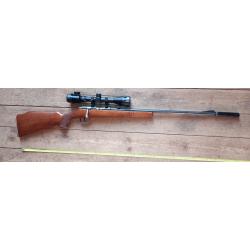 Carabine 22LR Colibri avec lunette et silencieux