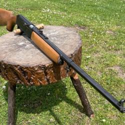 GEVARM E1  catégorie C / 22lr semi-Auto / take down