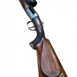 Chapuis rgex série 3 8x57jrs + aimpoint micro h2