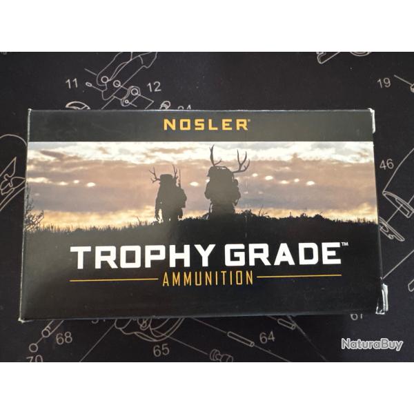 Nosler Trophy Grade 7-08 REM 140gr accubond 11 munitions