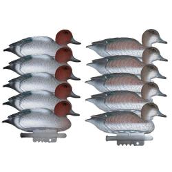 Wahoo ! 5 formes mâles 5 femelles siffleurs