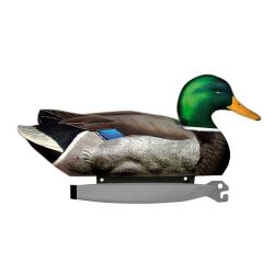 Wahoo ! Lot de 6 blettes de male colvert HD moussé