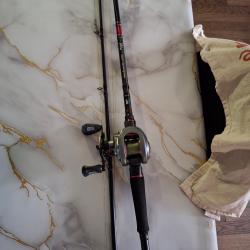 Canne a pêche