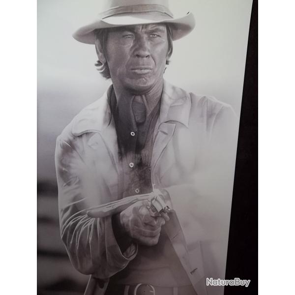 plaque dcorative western d