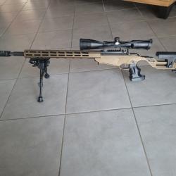 Carabine 22 lr ruger precision rimfire