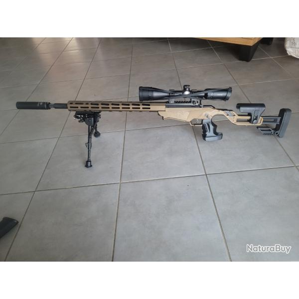 Carabine 22 lr ruger precision rimfire