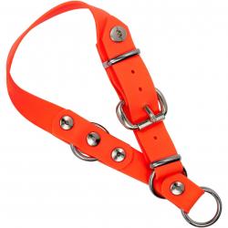 Collier pour chien Professional Orange (Modèle: Taille L (Ø 40-45 cm))