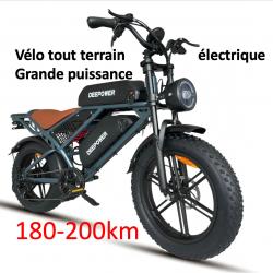 Vélo  électrique tout terrain  et montagne puissant 1000 W double batterie homologué UE 180-200 KM