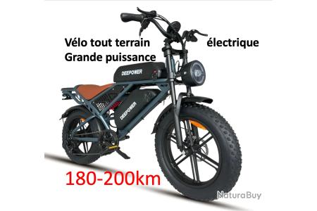Vélo électrique tout terrain et montagne puissant 1000 W double