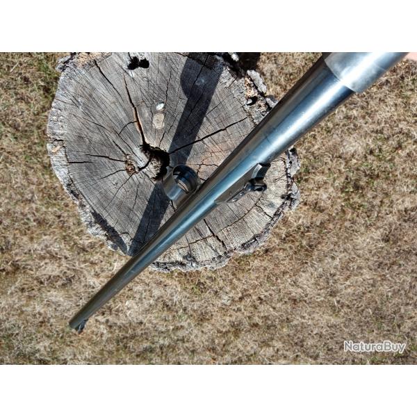 Canon tir  balles Browning auto 5 Calibre 12
