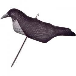 Wahoo ! Appelant Stepland Cordeau floqué coque magnum - 1