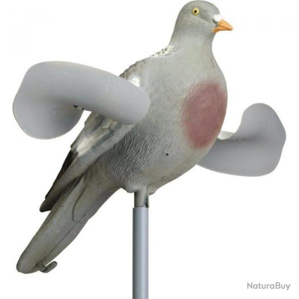 Wahoo ! Appelant Stepland Pigeon ailes tournantes 1 - 1