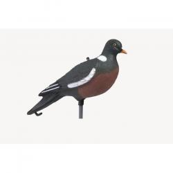 Wahoo ! Appelant Stepland Pigeon ramier HD - 1