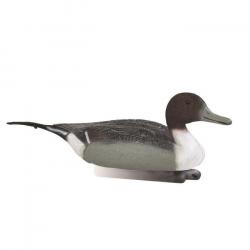 Wahoo ! Appelant pilet male Stepland - Par 1