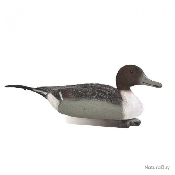 Wahoo ! Appelant pilet male Stepland - Par 1