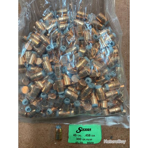 OGIVES 45-70 SIERRA 300 GR.