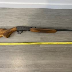 carabine semi automatique 22LR