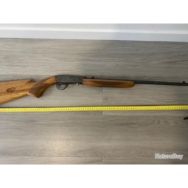 carabine semi automatique 22LR