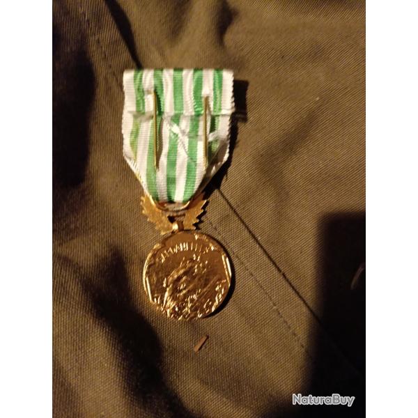 Mdaille des dardanelles