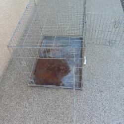 Cage de transport pliable pour chien en acier galvanisé