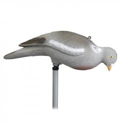 FORMES PIGEON PICOREUR SANS PATTE STEPLAND