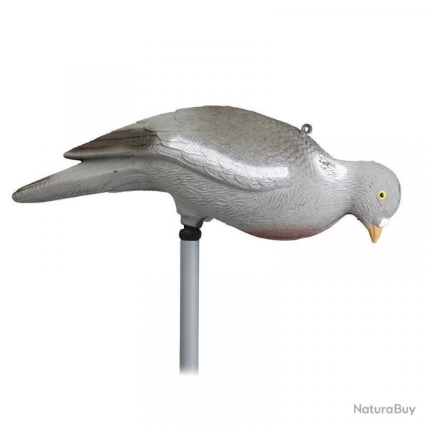 FORMES PIGEON PICOREUR SANS PATTE STEPLAND