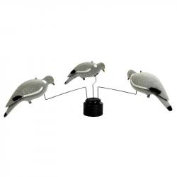 MANEGE A PIGEON STEPLAND