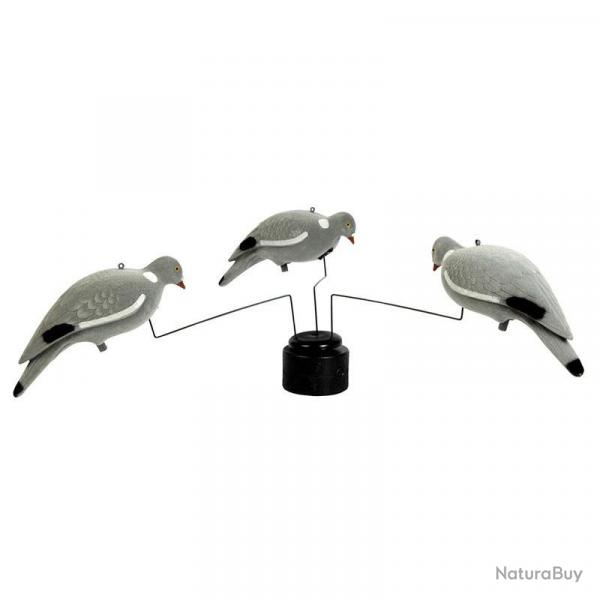 MANEGE A PIGEON STEPLAND