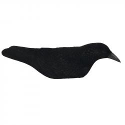 FORMES CORBEAUX DEMI COQUE FLOQUES STEPLAND