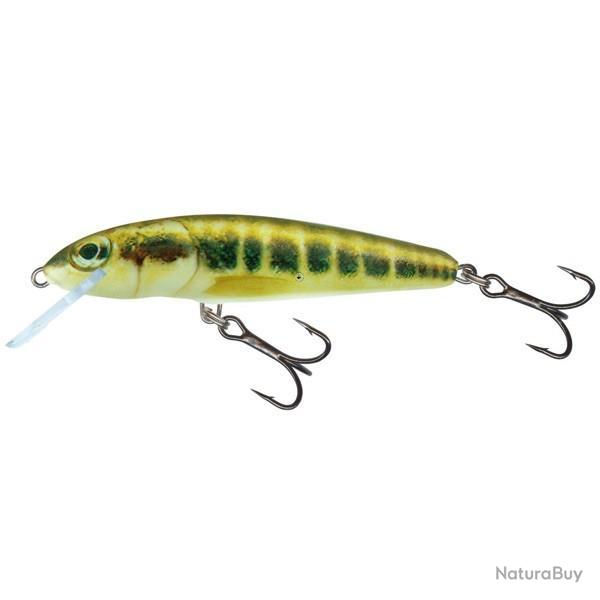 Poisson Nageur Salmo Minnow Flottant 6cm 6cm 4g M - Minnow