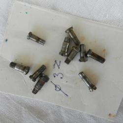 lot de 10 petites vis pour armes