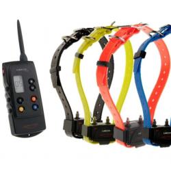 Canicom 1500 pack avec 4 colliers