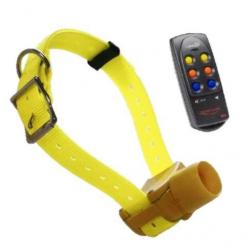 Canibeep ensemble Radio Pro