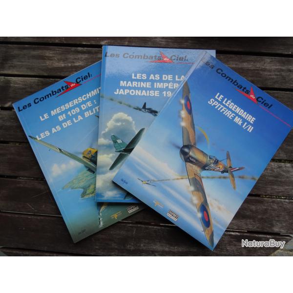 les combats du ciel