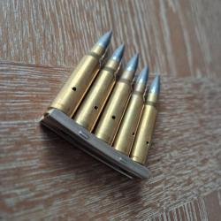 lot de 5 munitions 308 Win neutralisé