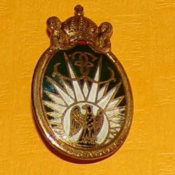 13° Régiment de Dragons Parachutistes, émail, 2 boléros ronds Drago , écu de dame vert surmonté d'un