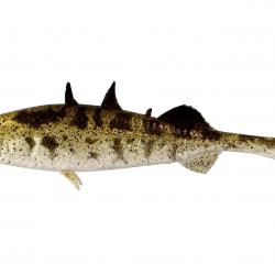 Leurre Souple Westin Stanley The Stickleback 9cm 7g 9cm Stickelback A l'unité
