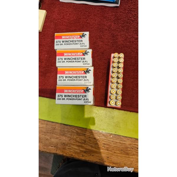 Cartouches 375 Winchester PowerPoint 200gr