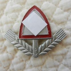 insigne du service du travail allemand 3° Reich WW2