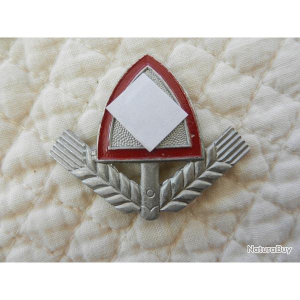 insigne du service du travail allemand 3 Reich WW2