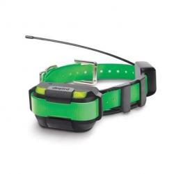 Dogtra Pathfinder mini Collier suppl GPS repérage dressage Bleu