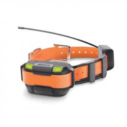 Dogtra pathfinder collier supplémentaire GPS repérage dressage Bleu